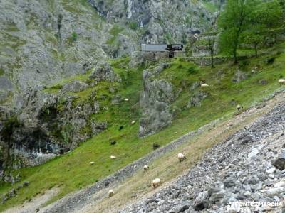 Ruta Cares-Picos de Europa; cascada somosierra chorro navafria el parrizal de beceite parque natural